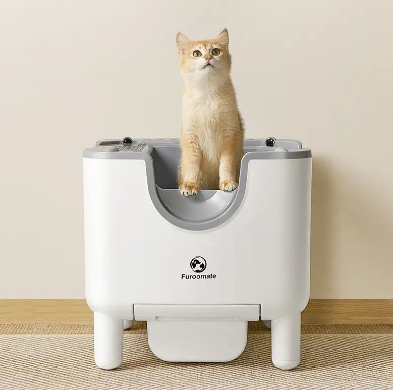 Smart Cat Litter Box – Extra Large Fully Automatic Self-Cleaning Open-Style Cat Toilet Next Gen Luxe Solutions