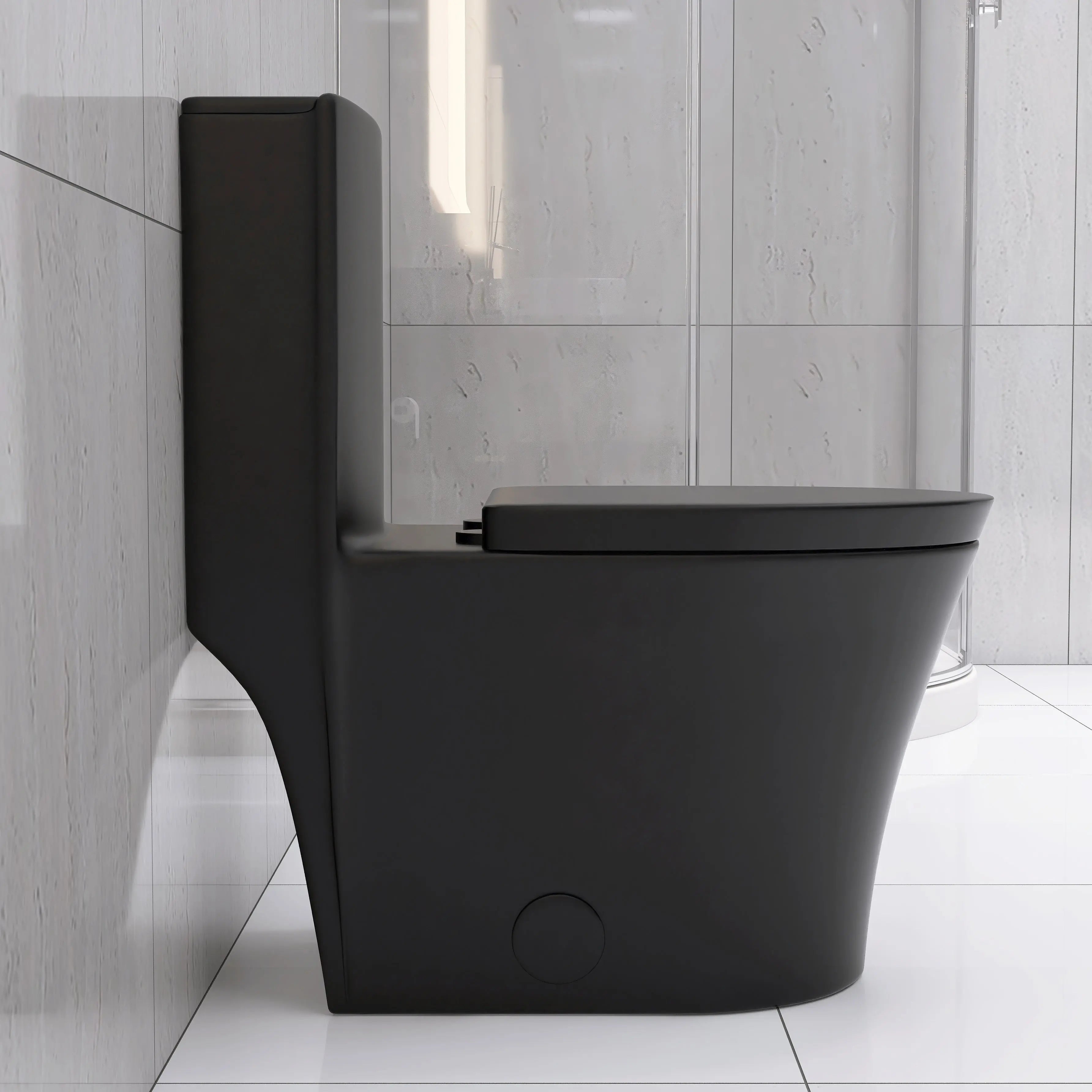 Matte Black Elongated One Piece Toilet Dual Flush 1.1/1.6 GPF Water Saving Map 1000g Next Gen Luxe Solutions